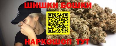 прущие грибы Лесосибирск