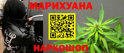 прущие грибы Лесосибирск